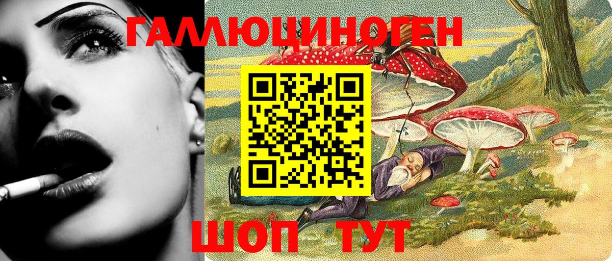 Псилоцибиновые грибы мицелий Ростов-на-Дону